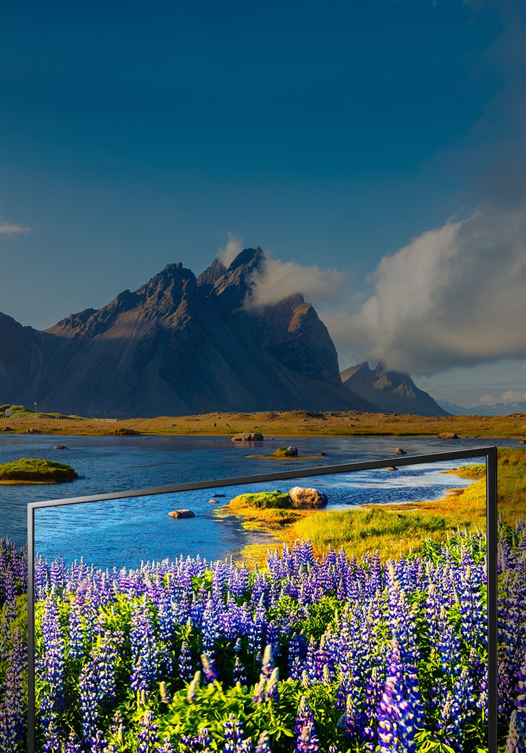 Full HD revolutionizing image clarity and color